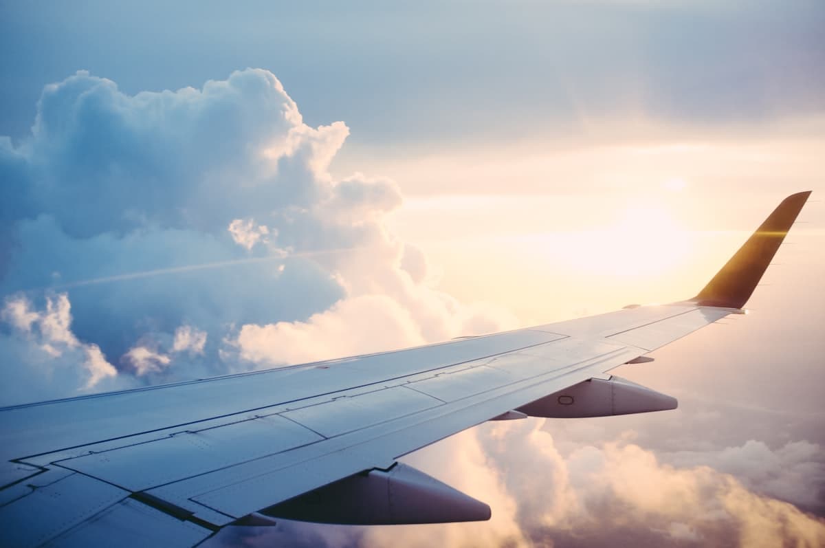 Coming Home